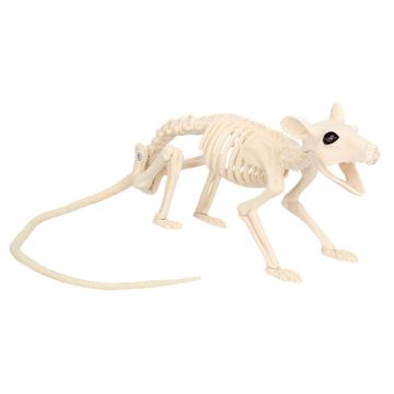 Rat skeleton decoration - 46x7x10 cm