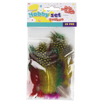 Decorative Feathers 25 pack, 10 cm