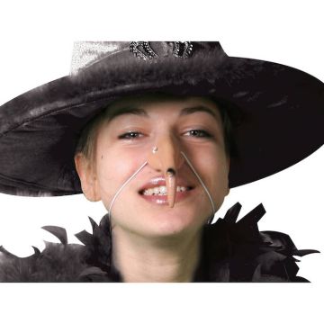 Curved Witch's Nose with Wart