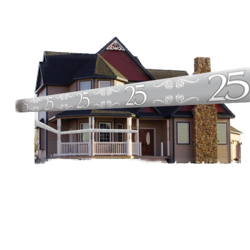 25 Years Anniversary Ribbon Silver - 15 m