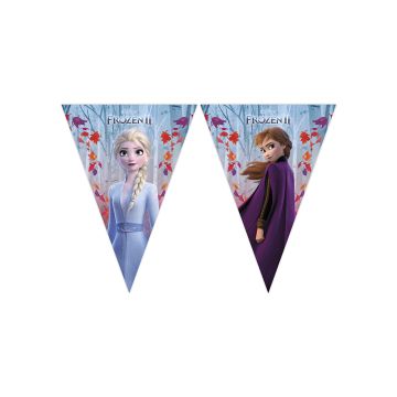 Frost 2 pennant garland 9 flags - 2.3 m