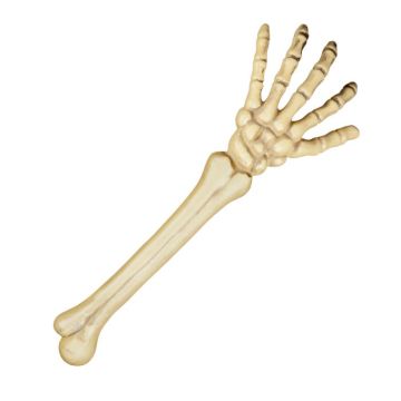 Halloween skeleton arm - 46 cm