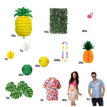 Hawaii decoration pack B2B