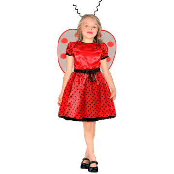 Ladybird costume for children - 5 pieces