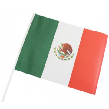 Mexican Paper Flag 6x