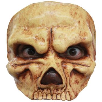 Spooky half-skeleton mask
