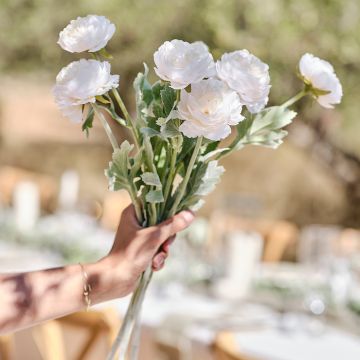 Ranunculus Flowers White 3x