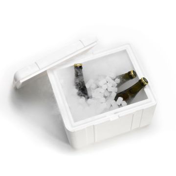 Dry ice 10 kg incl. foam box