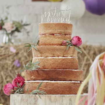 Just Married Cake Topper