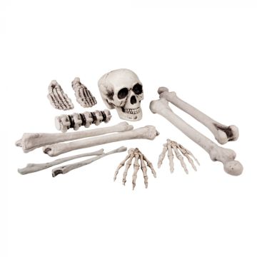 Halloween skull and bones skeleton 12 parts - 25 cm