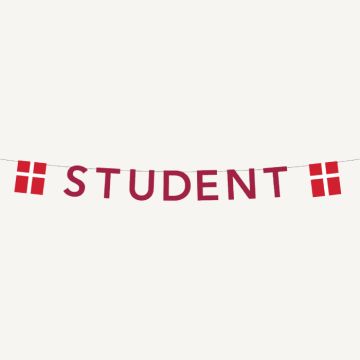 Red graduation garland with flags 0.27X4 m
