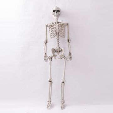 Hanging human skeleton decoration - 90 cm
